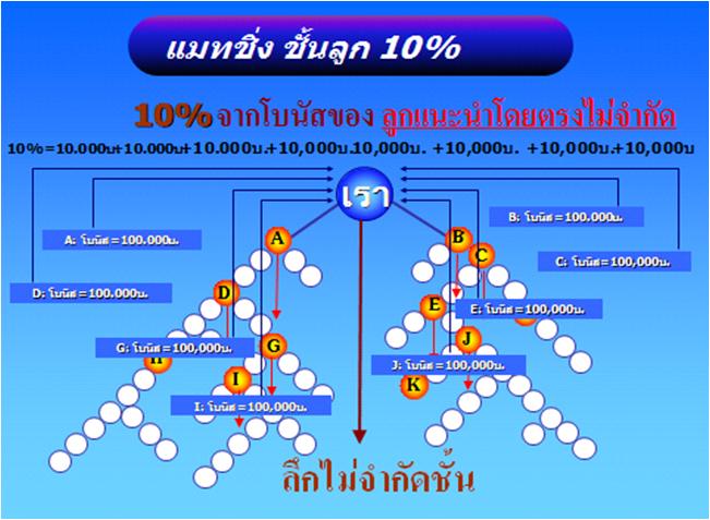 รายได้การแนะนำ ชั้นลูก  BSwan BSY