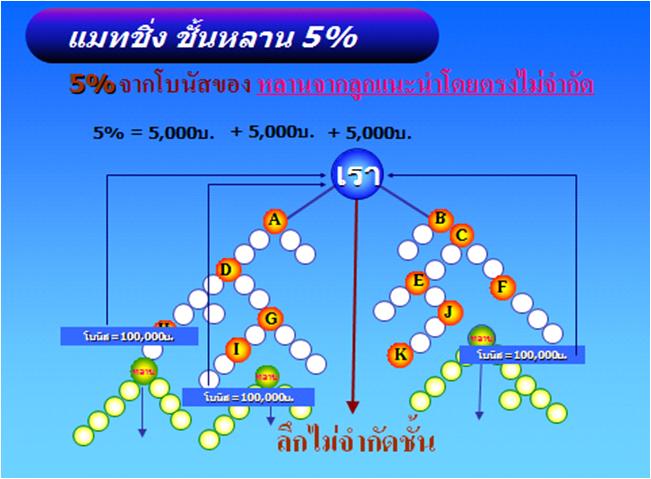 รายได้ลูกแนะนำ ชั้นหลาน  BSwan BSY