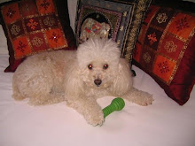 Luinha
