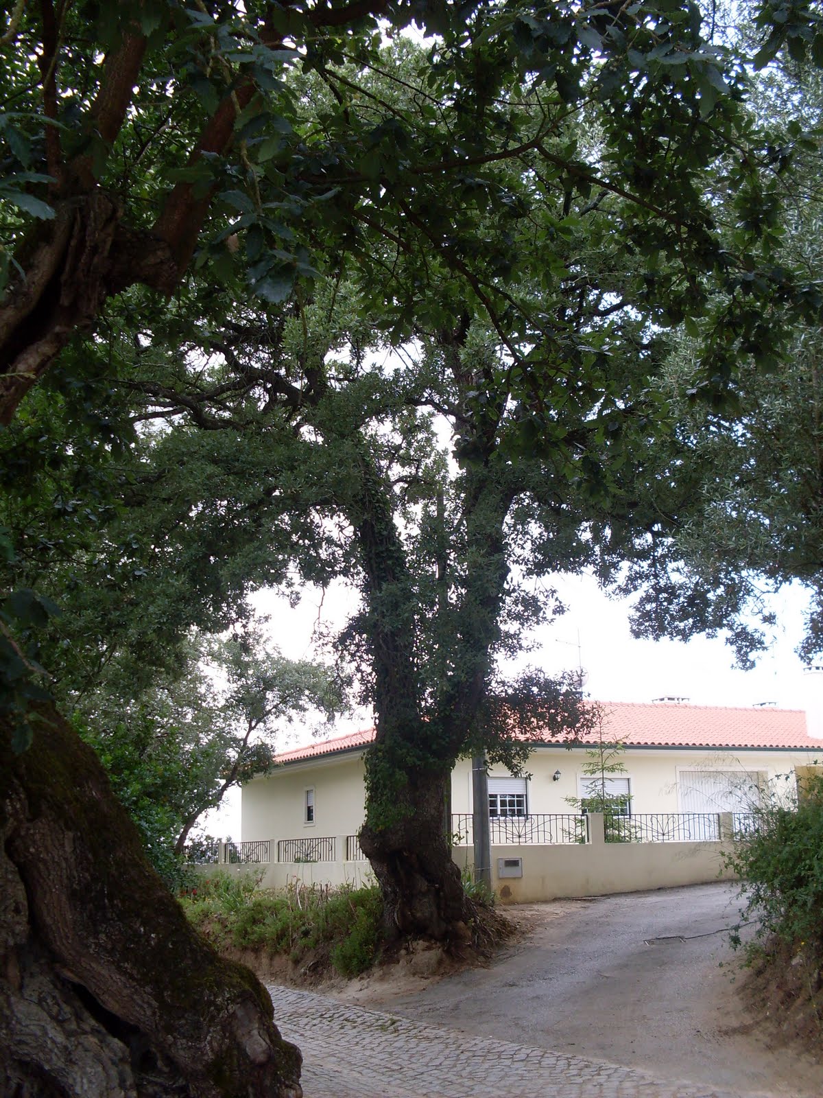 [SDC11809.JPG]