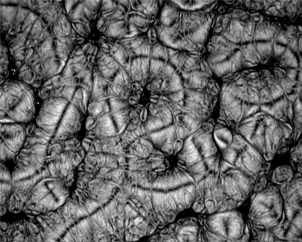 [GetAttachment-4.aspx.jpeg]