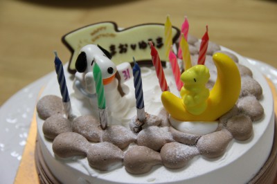 画像 3歳 誕生日 ケーキ嫌い