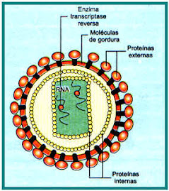 O VIRUS DA AIDS.