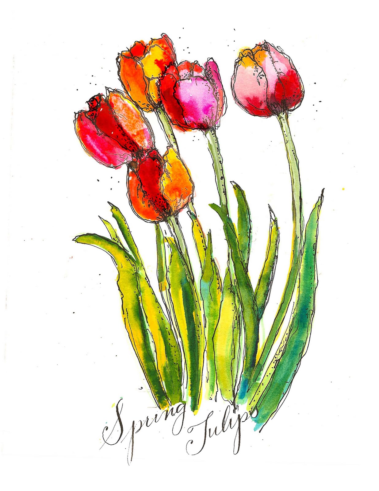 Drawings Of Tulips
