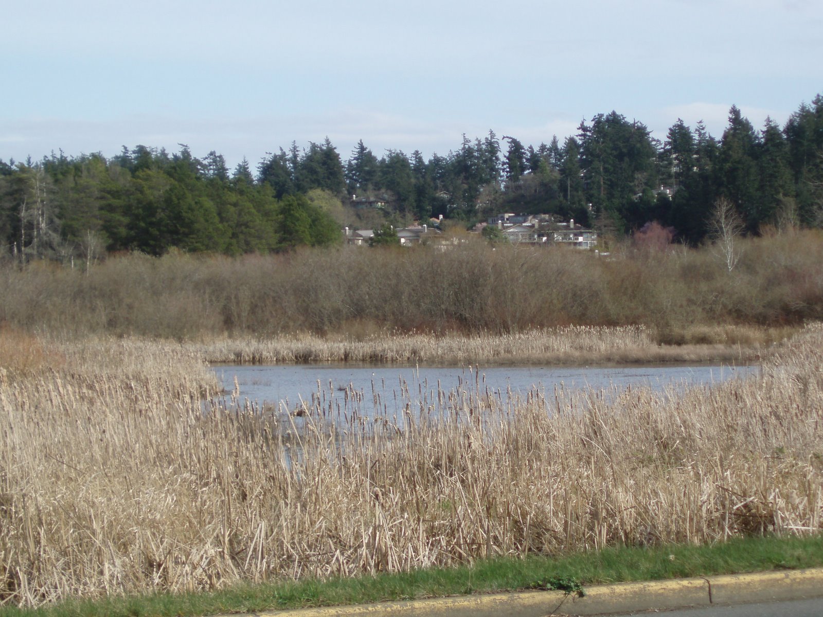 [P3109141.JPG]