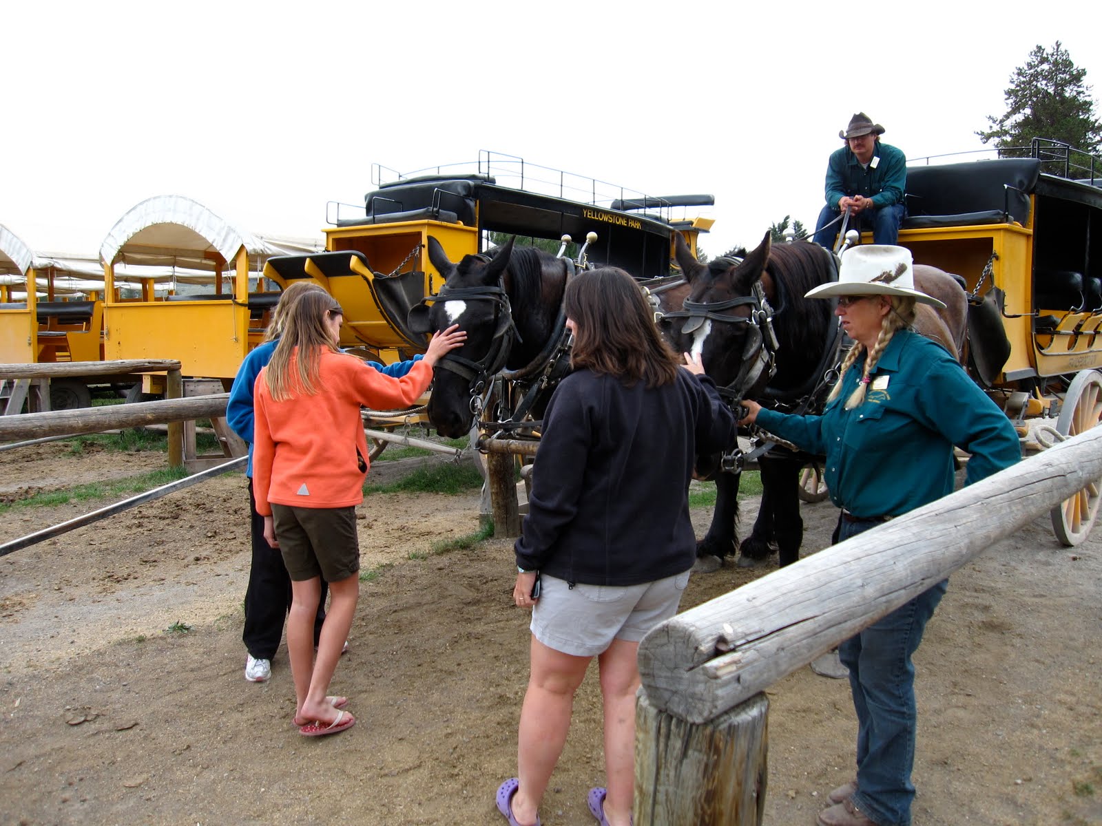 Wolverine+family+tree