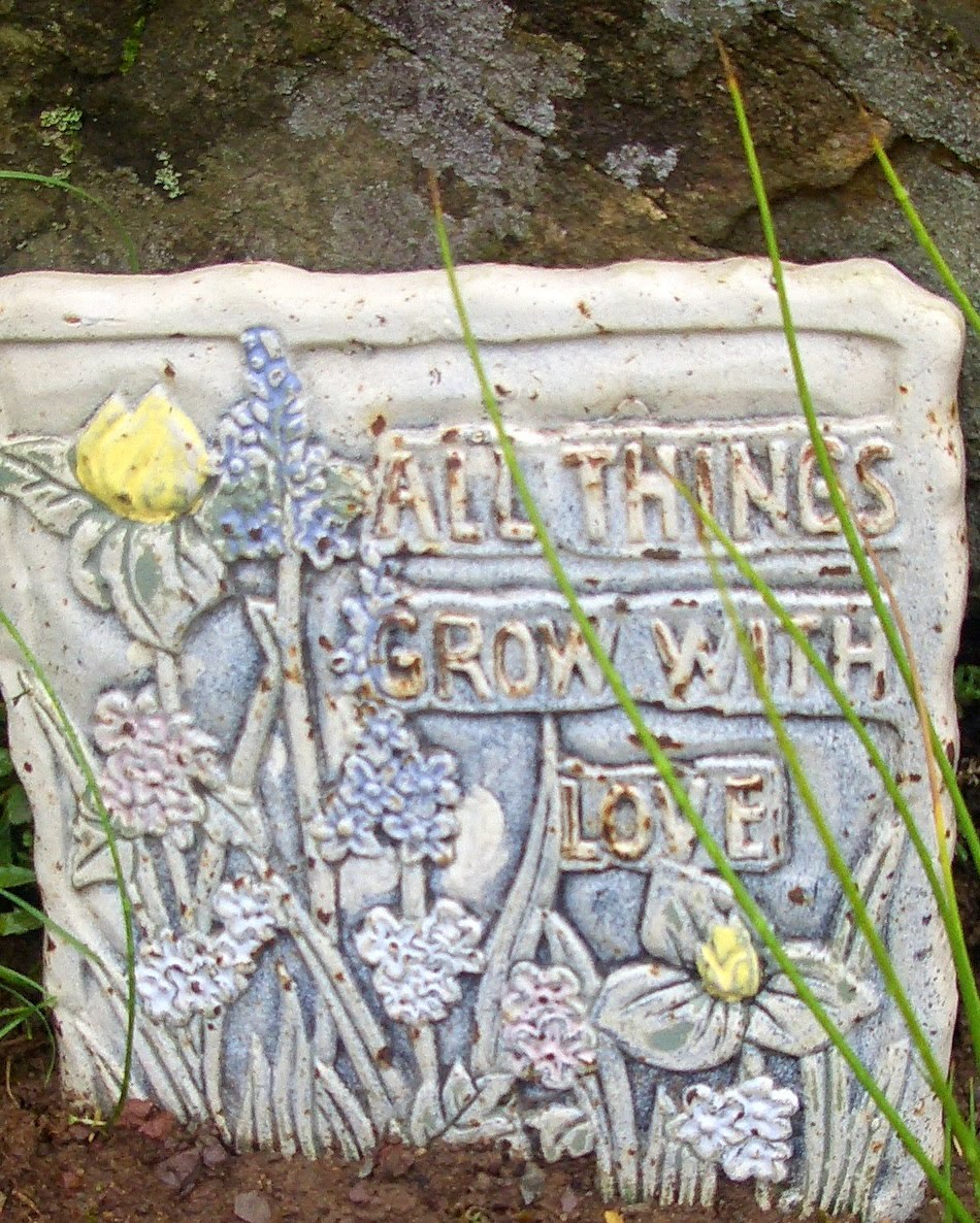 Rosenperle Der Garten