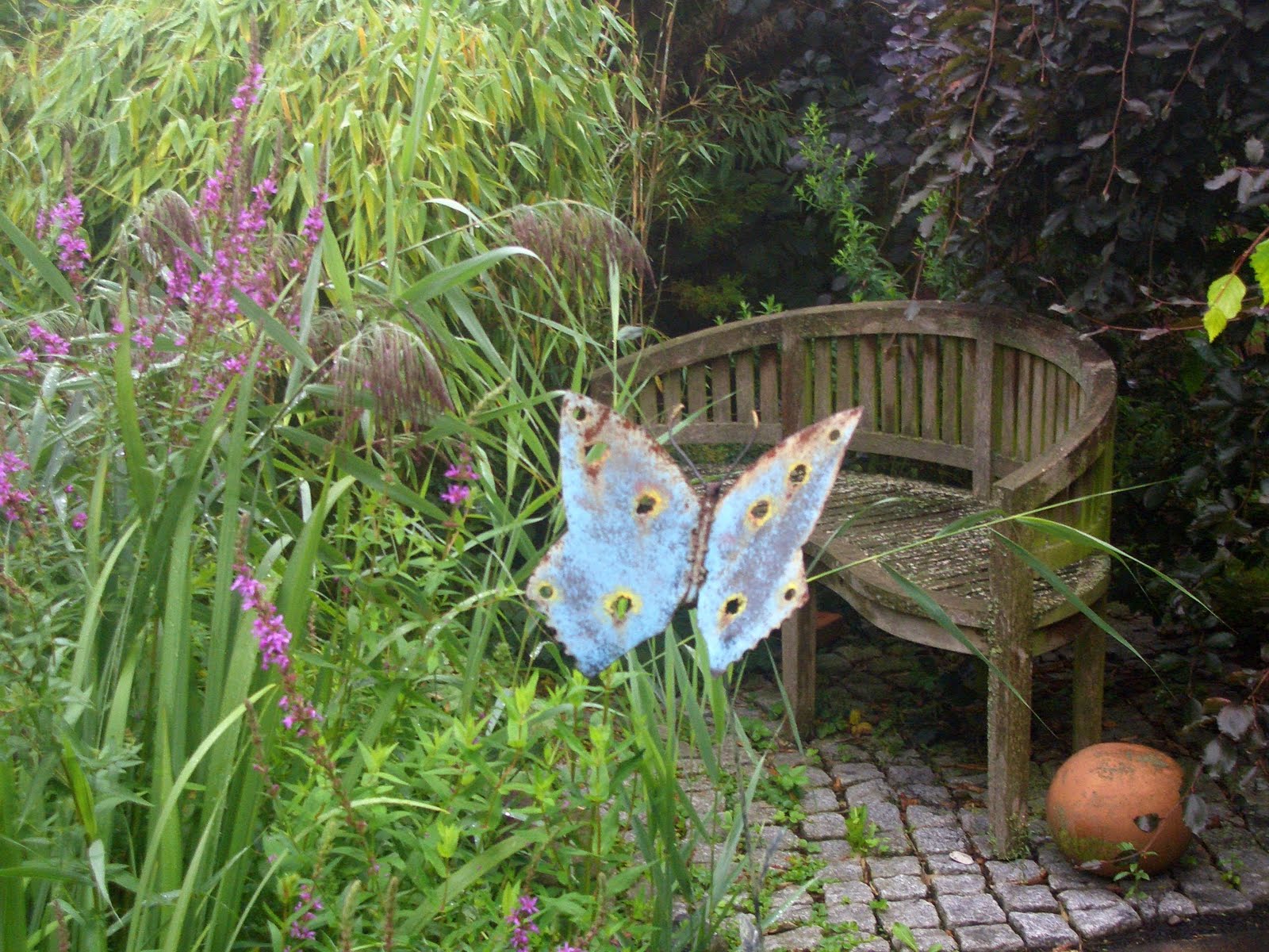 Rosenperle Der Garten