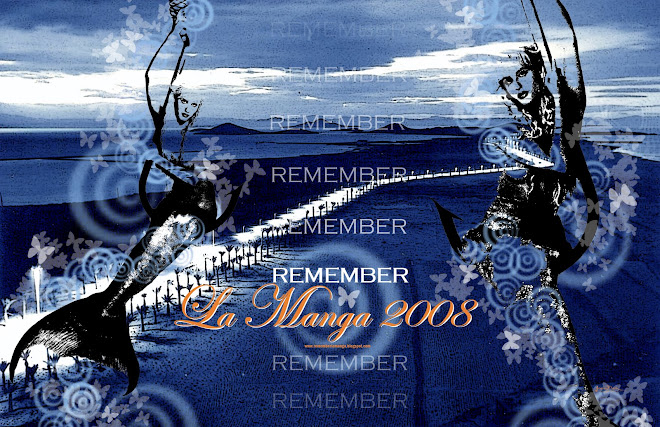 REMEMBER LA MANGA 2008