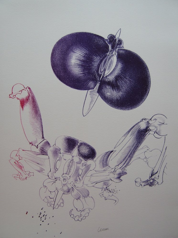 [Variations-Lunven.JPG]