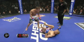 Chad Mendes Javier Vasquez WEC 52 gif guard pass roll somersault