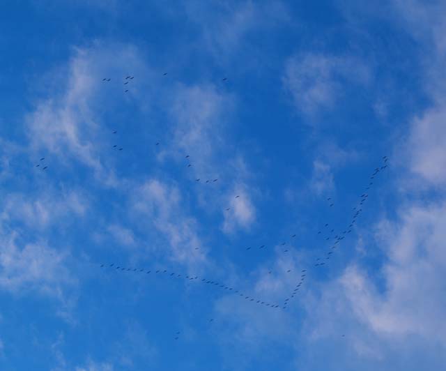 [P2280715+copia.jpg]