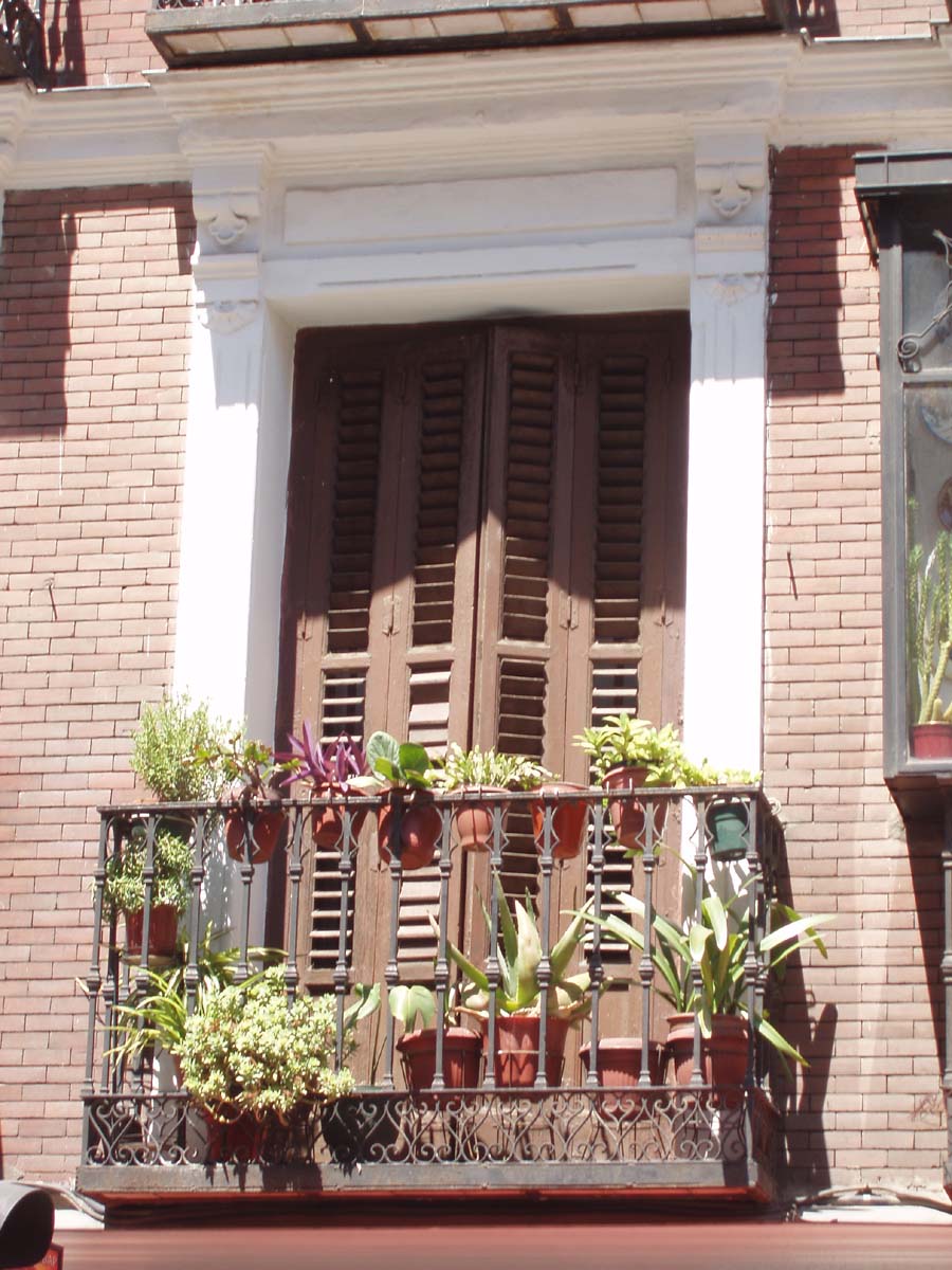 [P7122093+copia.jpg]