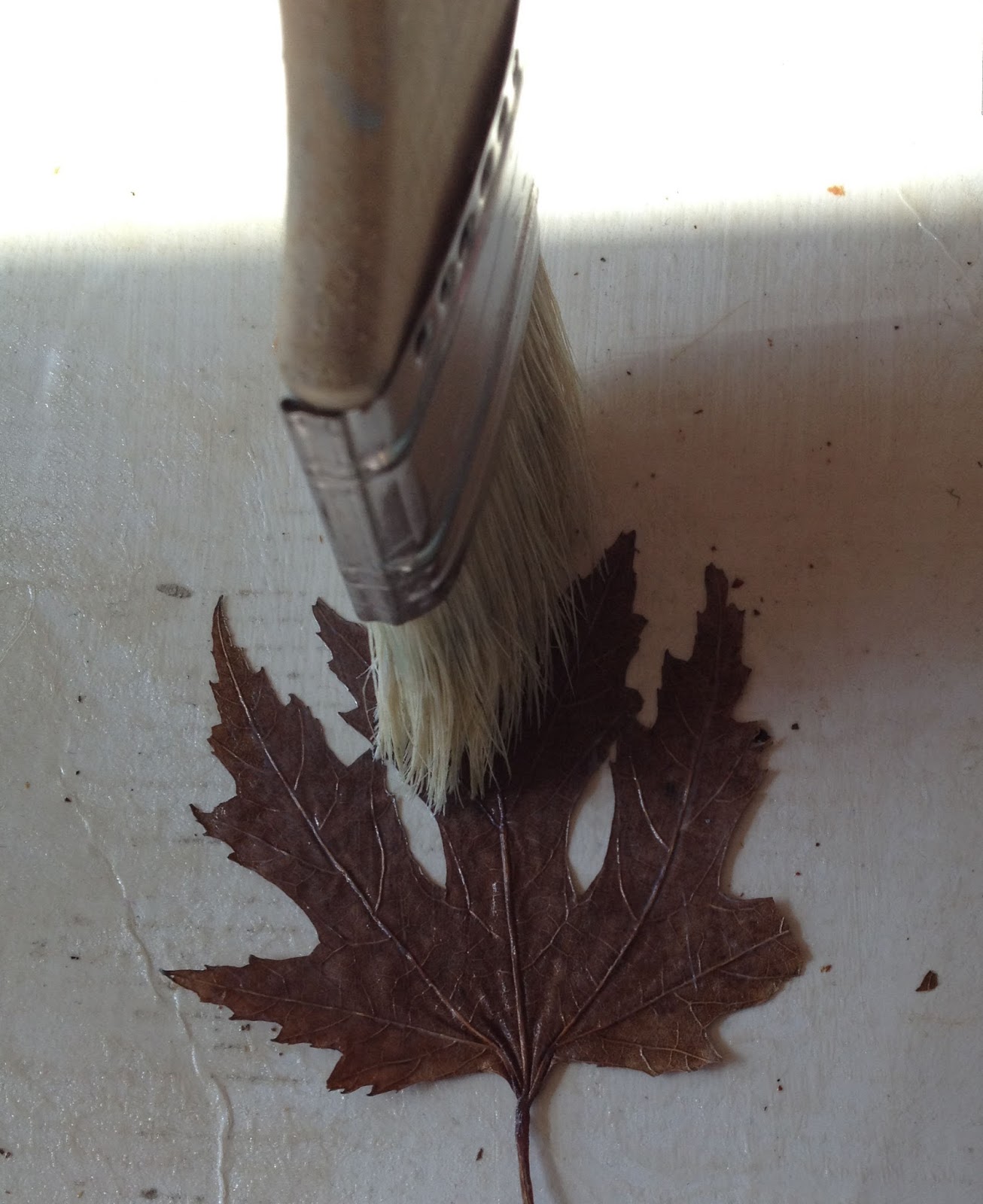 Susan Marie : Preserving & Framing Autumn Leaf Tutorial