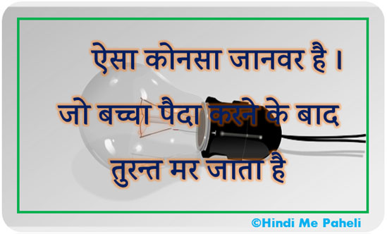ऐसा कोनसा जानवर है । जो बच्चा पैदा करने के बाद तुरन्त मर जाता है ऐसा कोनसा जानवर है । जो बच्चा पैदा करने के बाद तुरन्त मर जाता है
