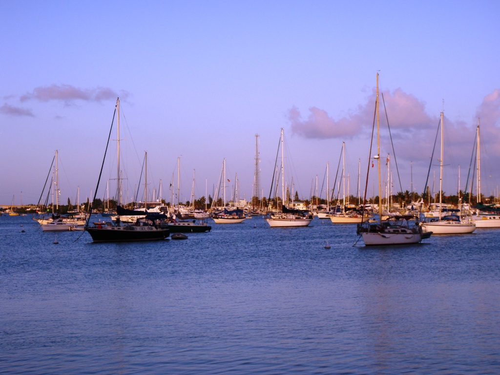 Adventures on Algonquin Conch Republic