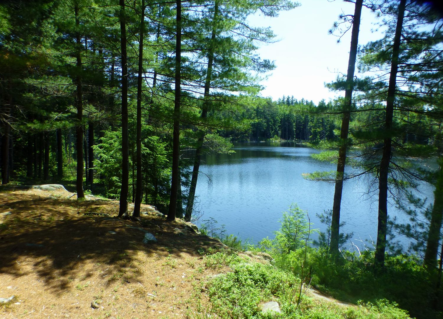 The Saratoga Skier and Hiker Pole Hill Pond Preserve 07/04/2016