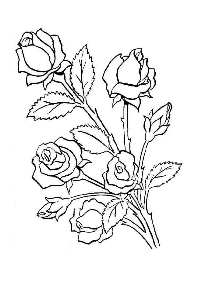 desenhos-de-flores-para-imprimir-e-colorir-07.gif (650×946) | Patrones para  pintura sobre vidrio, Diseños de pintura en cristal, Como dibujar rosas
