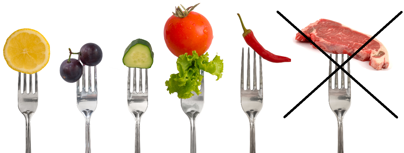 The Foundation Debates Vegans versus Meat Eaters