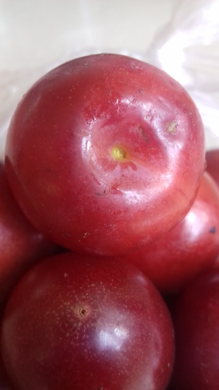 PLUM - FRUIT OF THE WEEK