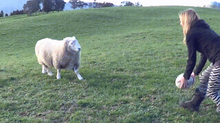 6E0MO4g%2B-%2BImgur.gif