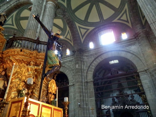 El Señor del Hospital: El Señor del Veneno, el Cristo Negro de la ...