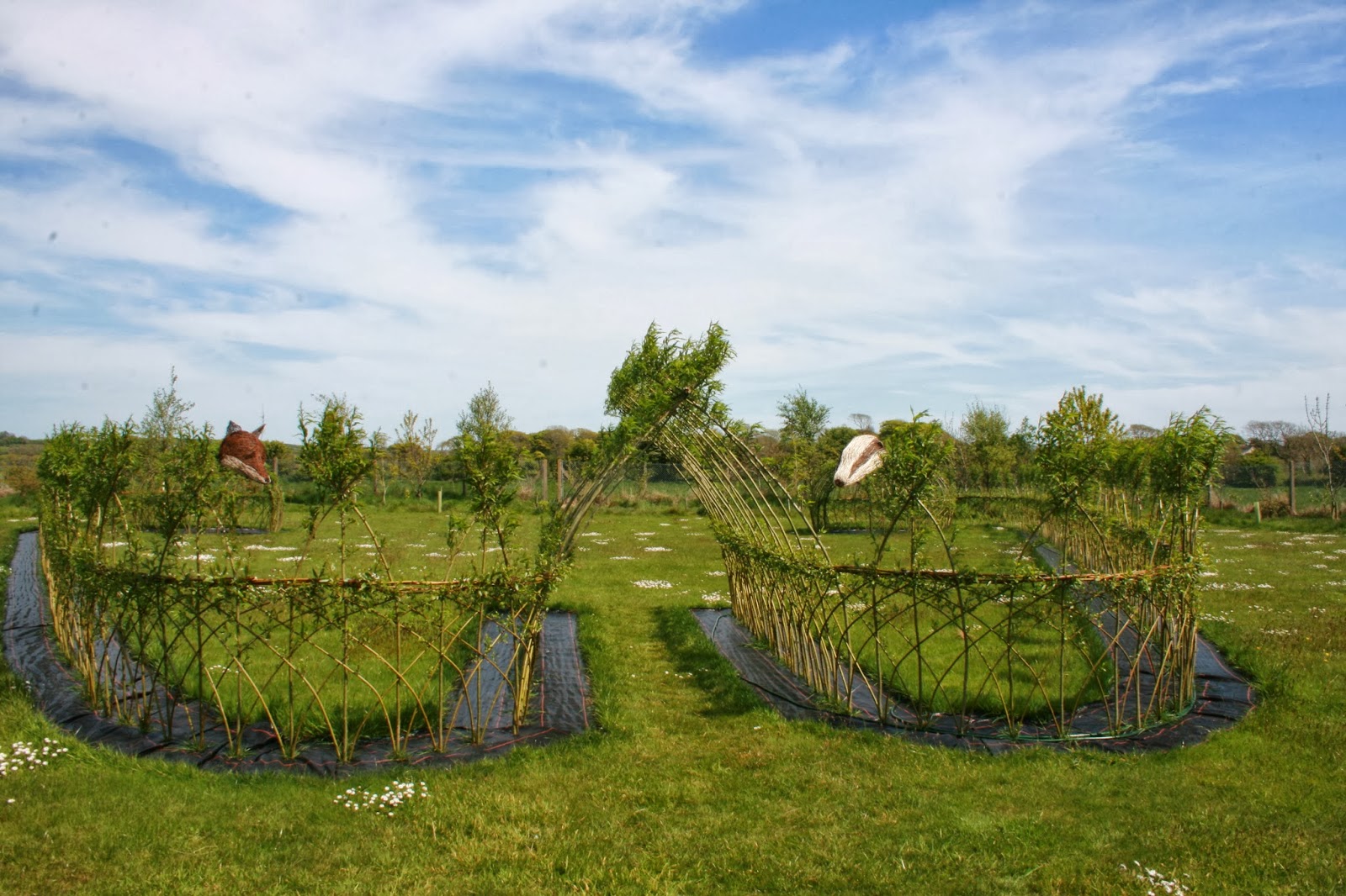 Living Willow Sculpture/Installation Commissions