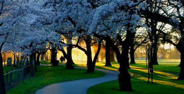 decision fatigue moving to another country