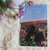 Na estante: A flor cor de rosa, lançamento da autora Ana Souza