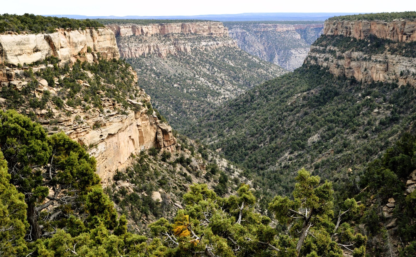 mesa verde national park Get the mesa verde national park weather forecast access hourly, 10 day and 15 day forecasts along with up to the minute reports and videos for mesa verde national park, co 81330 from accuweathercom. mesa verde national park Get the mesa verde national park weather forecast access hourly, 10 day and 15 day forecasts along with up to the minute reports and videos for mesa verde national park, co 81330 from accuweathercom.