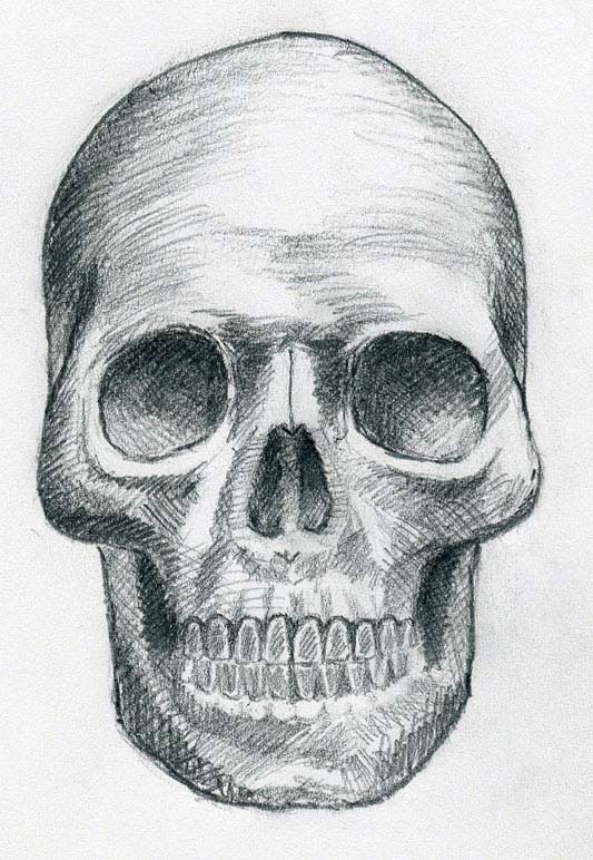Skull Drawing | 3D Drawing