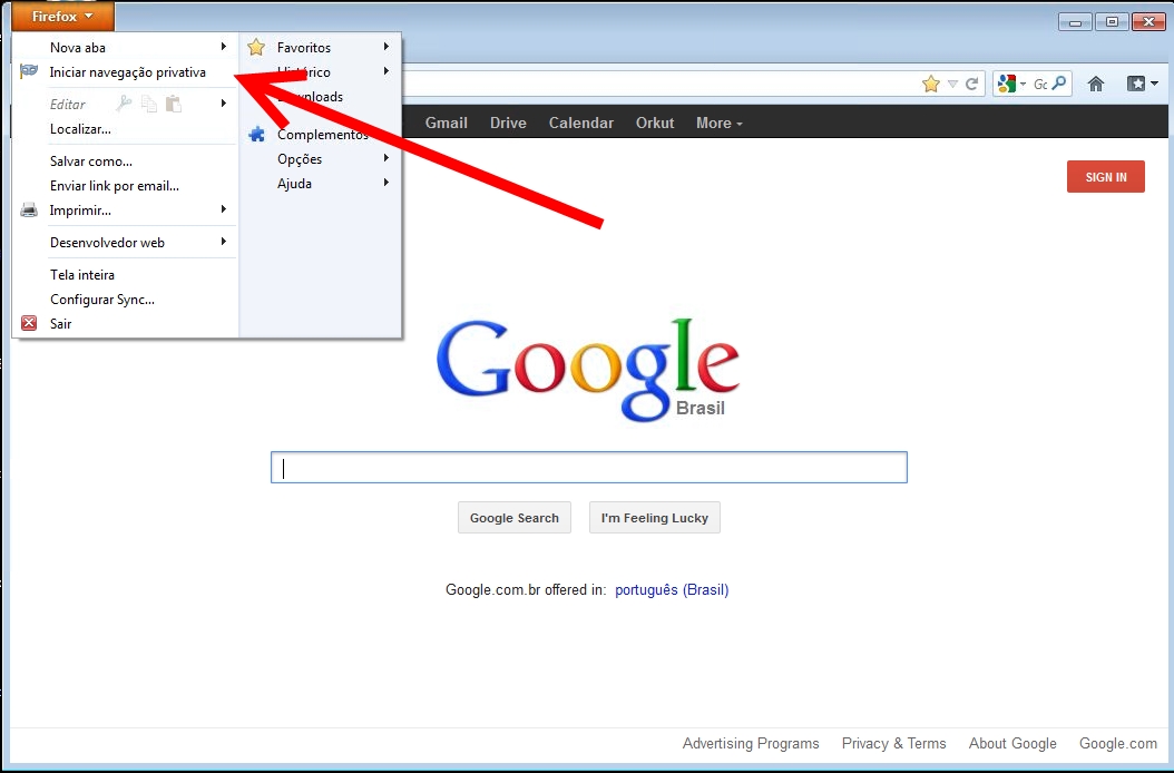 Como navegar de forma anônima Ferramentas PC