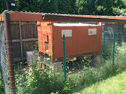 coop rain chicken nirvana northwest