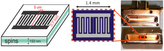 microwavequantum.jpg