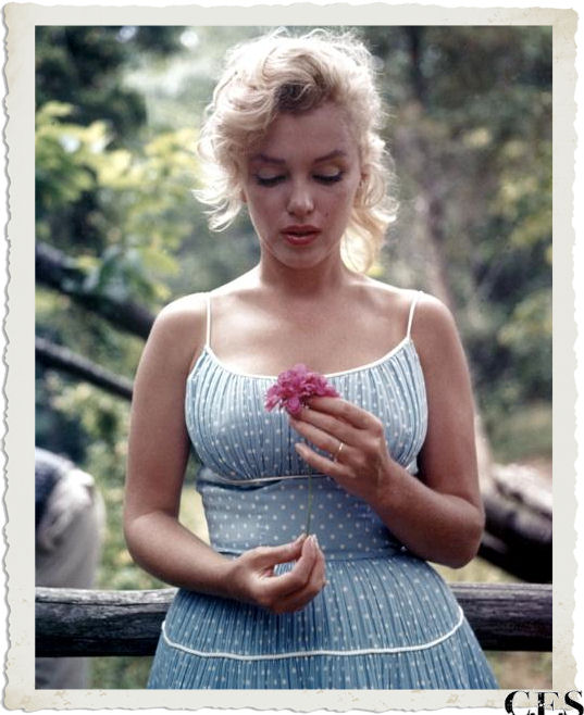 Marilyn con abito azzurro a pois bianchi e fiore in mano