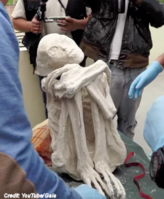 NAZCA ALIENS LATEST; Peruvian Government cover up over mummified aliens found in Nazca Tomb Nazca%2B%2527Alien%2BMummy%2527%2BRevealed%2BBySerial%2BHoaxer