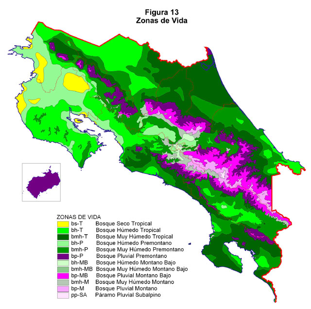 ECOSISTEMAS DE COSTA RICA BOSQUE PLUVIAL PREMONTANO
