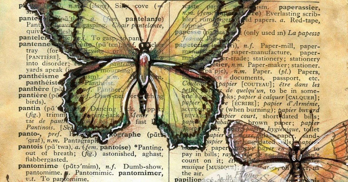 BEITR GE VON PAPILLON visual data 4