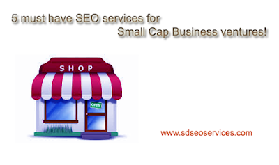 5 must have SEO services for the small cap business ventures