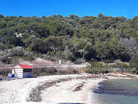 neočišćena plaža Zastup Splitska slike otok Brač Online neočišćena plaža Zastup Splitska slike otok Brač Online