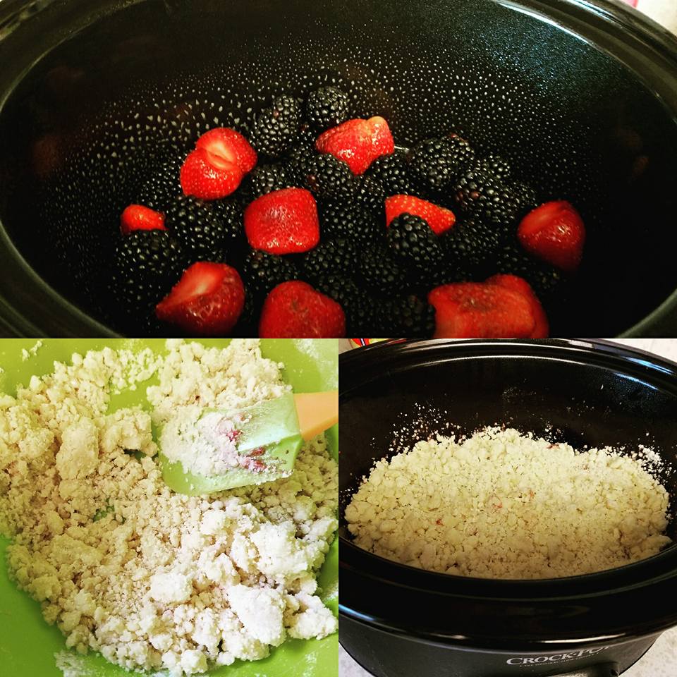 Garden 2 Plate Fresh Mix Berry CrockPot Cobbler