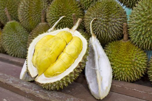 Makan durian banyak kesan 8 Bahaya