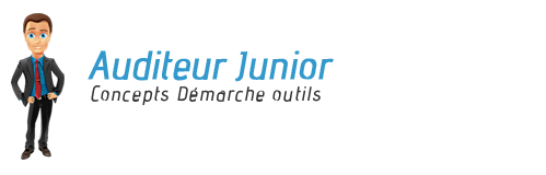 Auditeur Junior