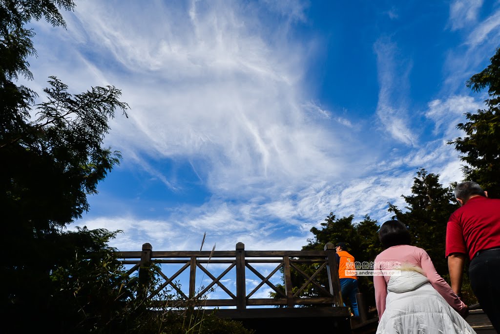 新竹五峰鄉景點,雪霸國家公園,雪霸休閒農場,雲霧步道,山椒魚生態中心,張學良故居