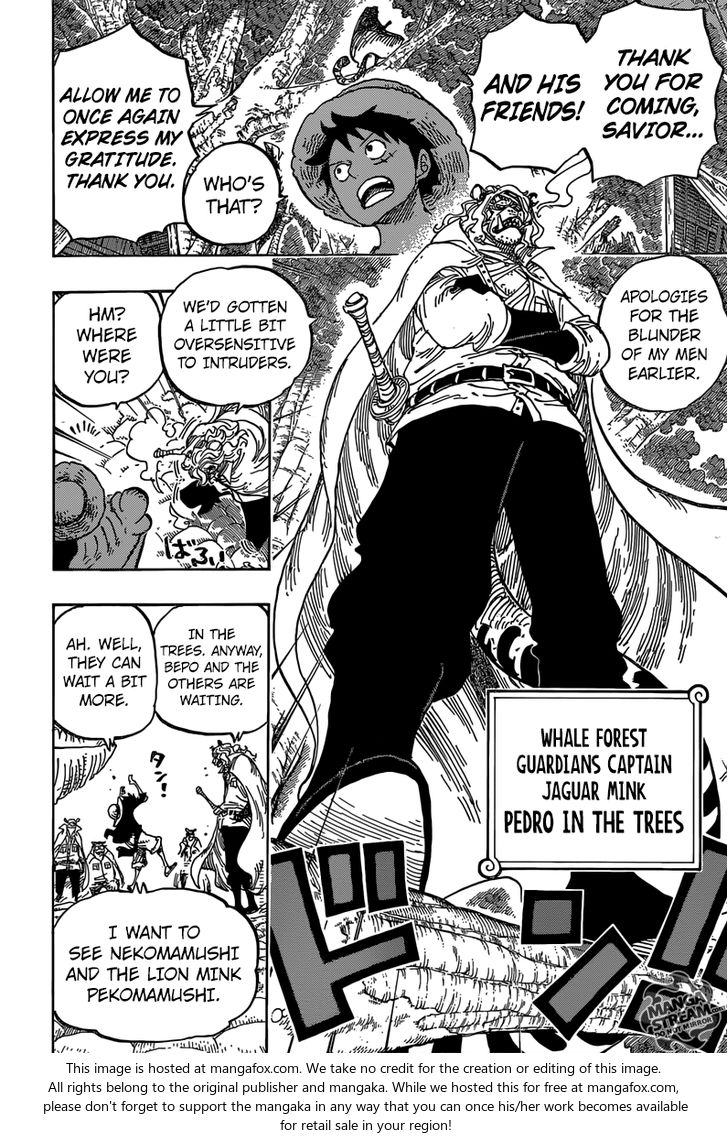 One Piece Ch.814: Let's Go to See Master Nekomamushi