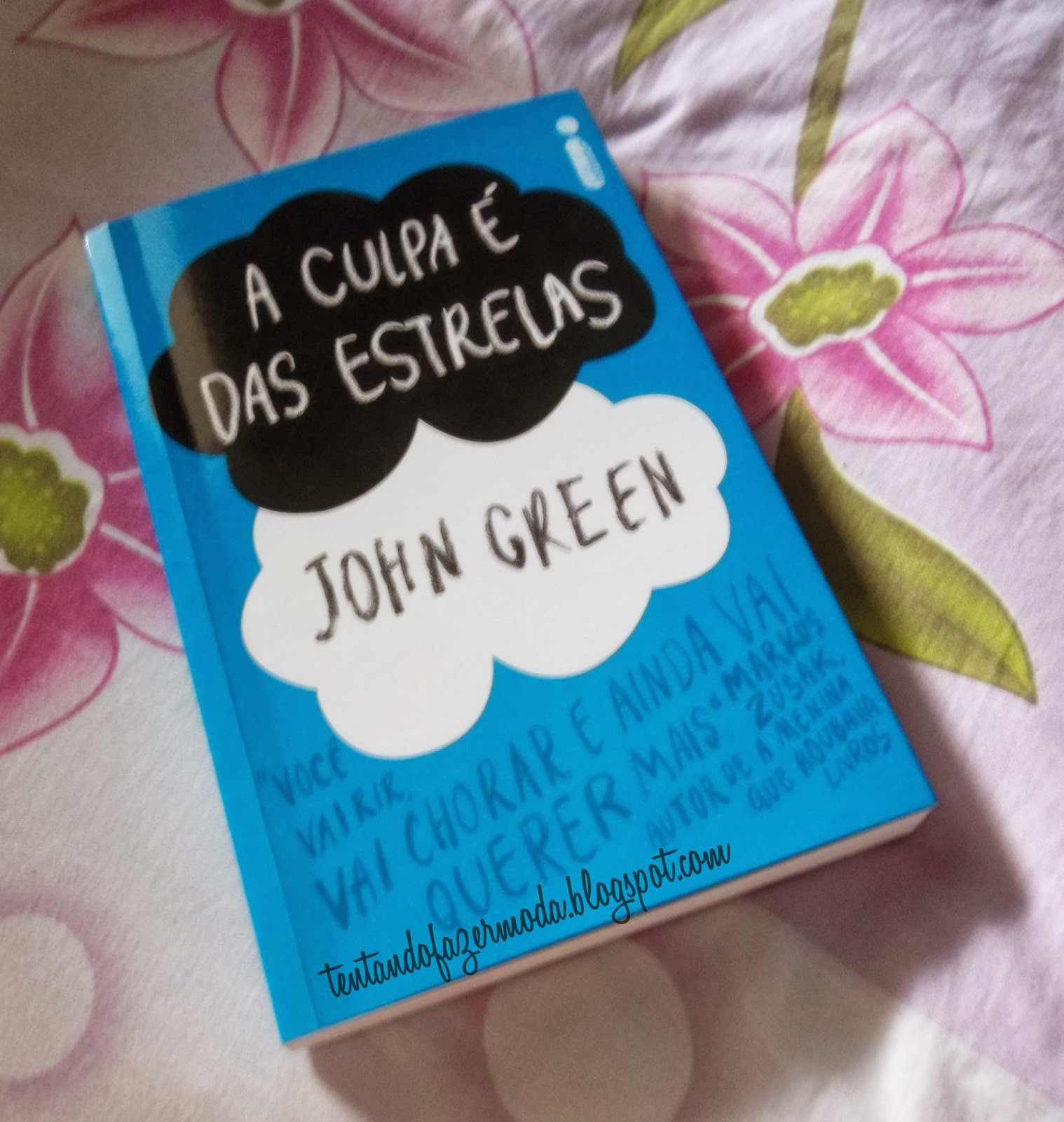 Resumo Do Livro A Culpa é Das Estrelas