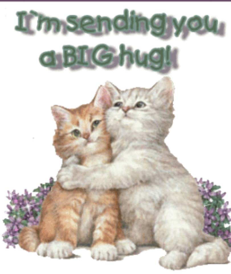 Hugs pics funny. Im sending. Хакерша мем. Im sending. Sending you big hugs.
