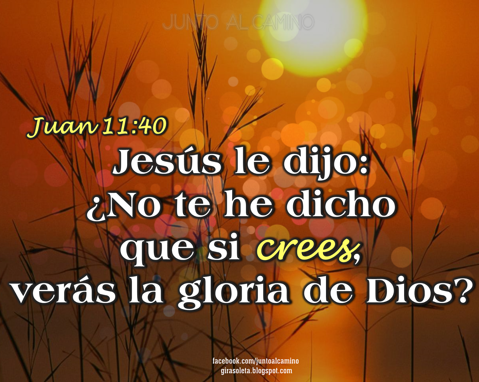 Tarjetas Cristianas Con Textos Biblicos Salmo  Holidays OO