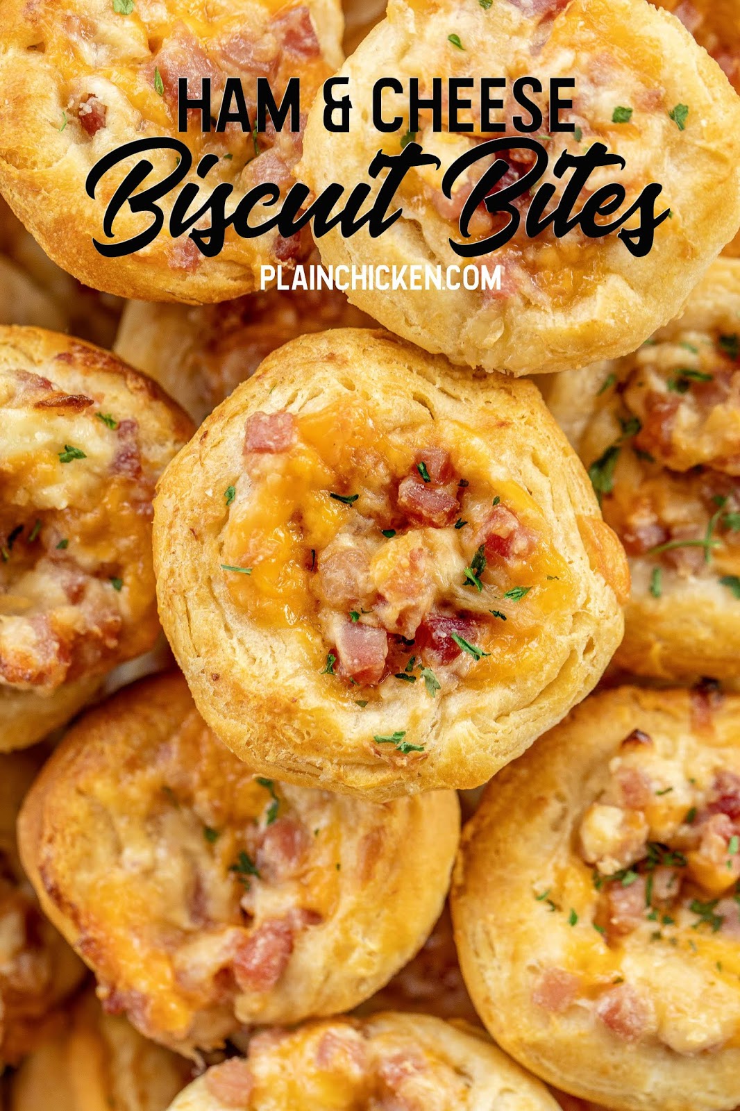 Ham & Cheese Biscuit Bites Plain Chicken®