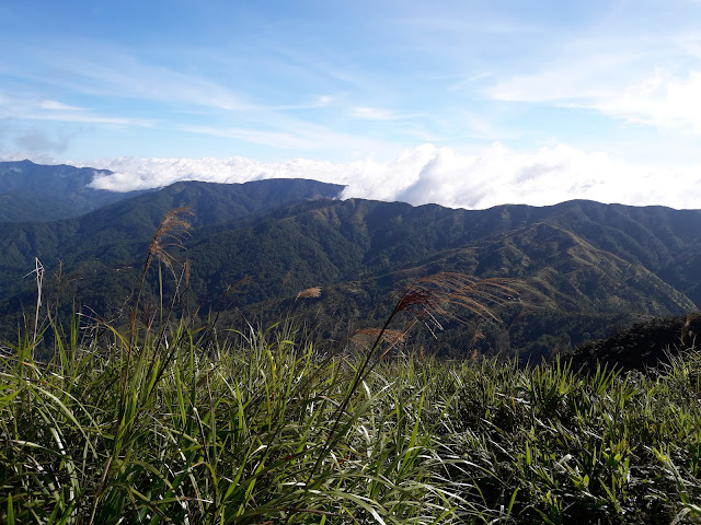 Sea of clouds at 8AM